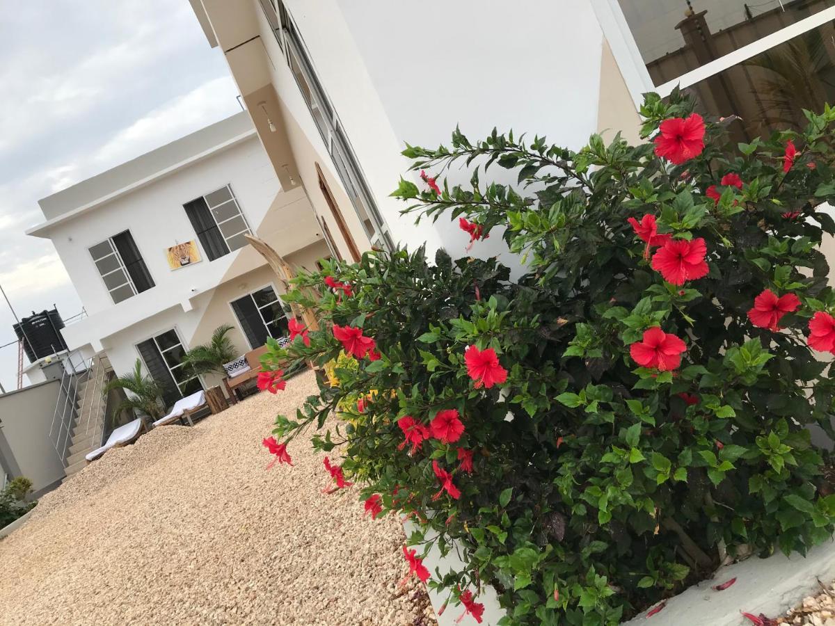 Vick Boutique Hotel With New Power Backup Nungwi Esterno foto